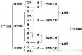 佛教对自然知识的描述 - 佛教对于自然的观点