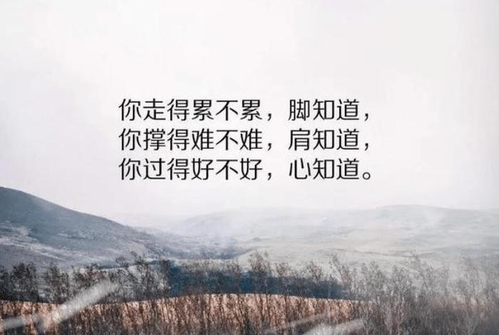 人生道路不容易的句子 人生路上不容易的句子 人生道路不容易的句子 人生路上不容易的句子