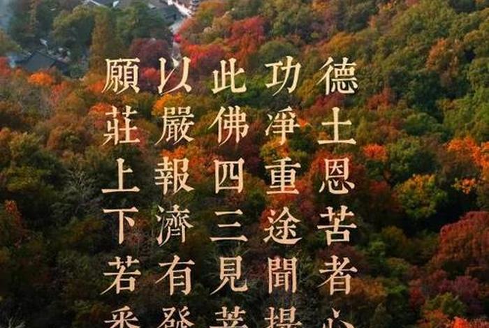 佛教我执是什么意思；佛教中的我执是什么
