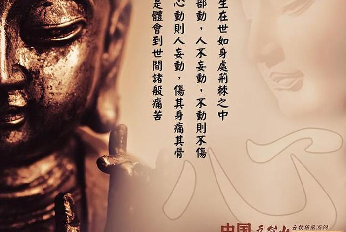 20个佛学哲理故事（20个佛学哲理故事及感悟）