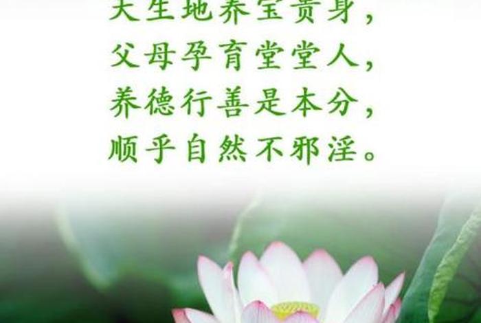 学佛对人生的影响；学佛对人生的好处