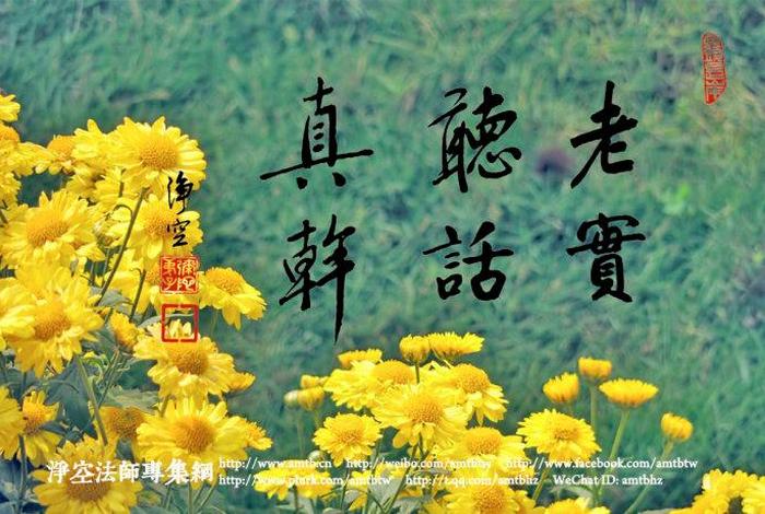 为什么学佛文案；为什么学佛文案不好