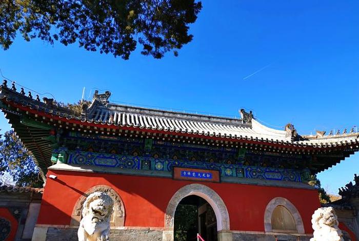 北京佛教寺庙管理组1954年（北京佛教协会设在哪座寺庙）