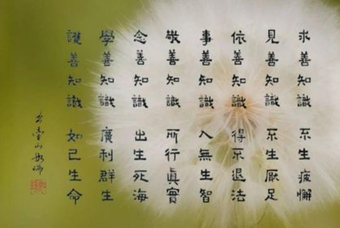 传播善知识的视频 传播善知识的视频怎么拍