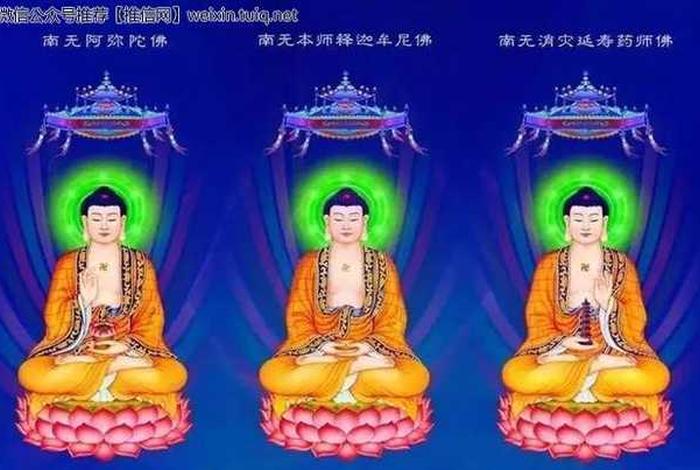 佛教中菩萨和佛的地位 - 佛教中菩萨和佛的地位一样吗