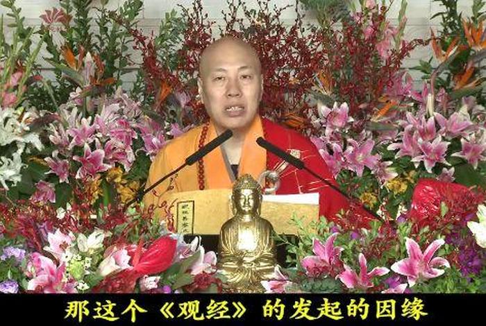 佛教大安法师讲座 大安法师佛学问答视频开始最新