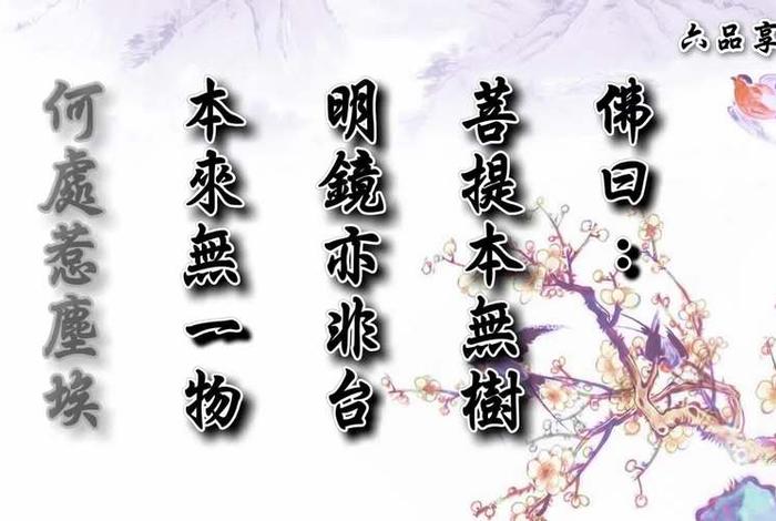 抖音佛教禅意文案 - 佛教抖音视频
