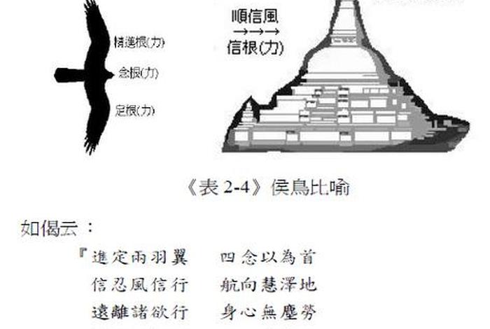 佛教五根（佛教五根五力）