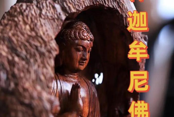 释迦牟尼佛教知识有哪些 - 释迦牟尼佛介绍