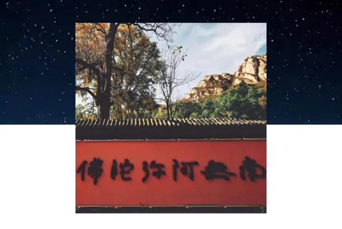 抖音上可以说佛教知识吗，抖音讲佛学