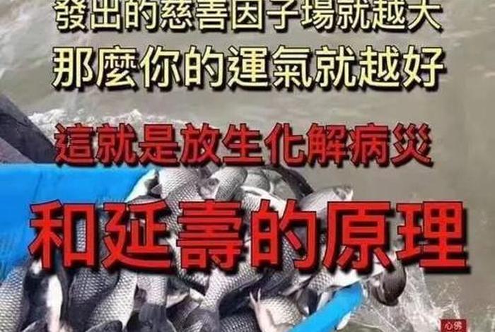 佛教放生的经典句子，佛教放生的意义是什么