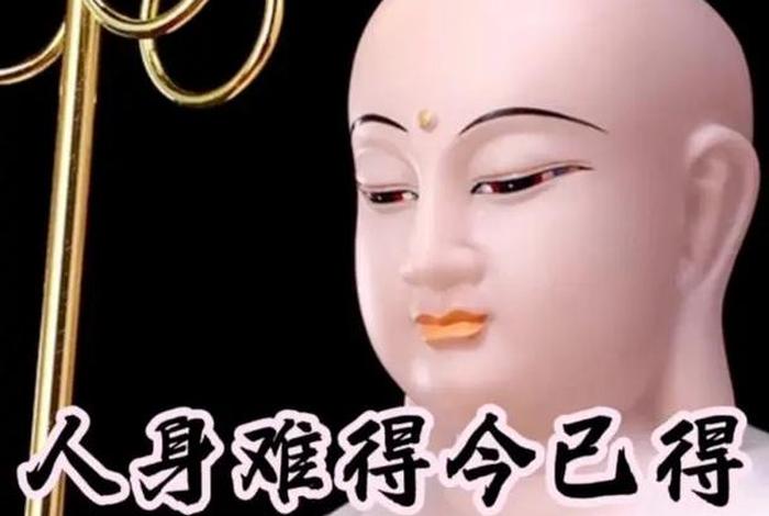 一切佛法总不用学（佛法没用）
