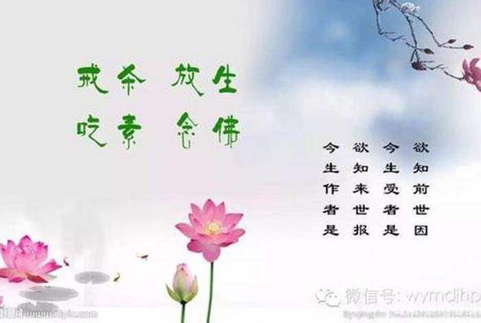 佛教为什么吃素不算杀生、信佛为什么吃素