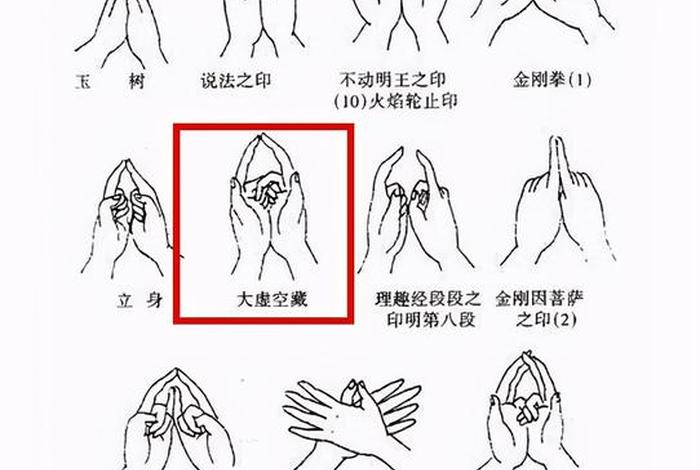 佛教有什么招式（佛教的招式）