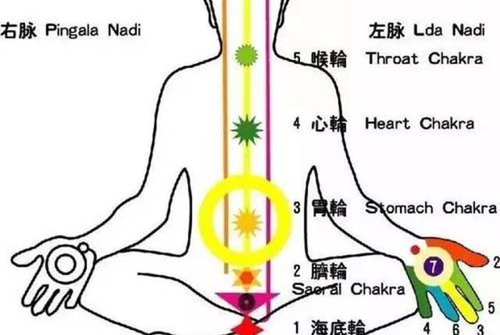 佛教打坐理论知识有哪些、佛教打坐是什么意思