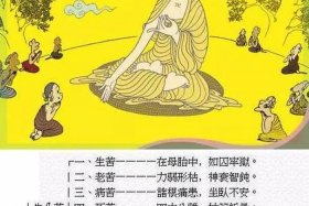 佛教四大苦是什么 - 佛教讲的四大是什么