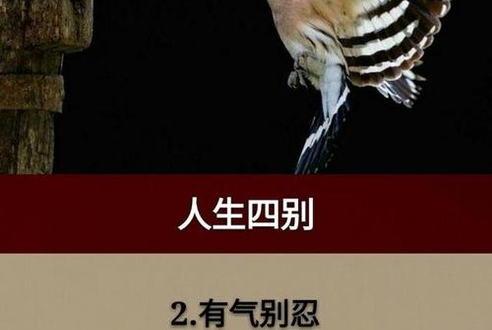佛学四苦、佛说人生四苦