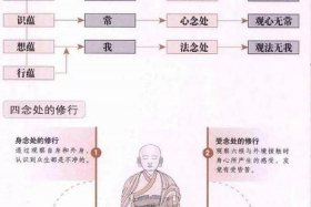 佛教文化小知识大全视频讲解、佛教文化基础知识