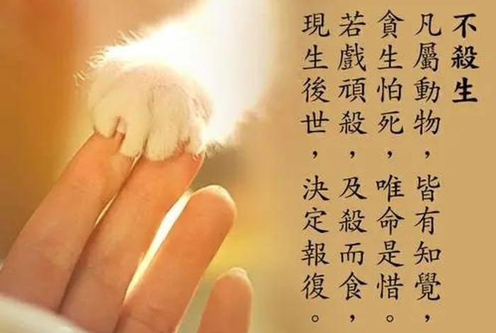 佛教为什么不禁止，佛教为什么不禁止喝酒