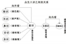 佛教思维导图高清图、佛教基础知识思维导图