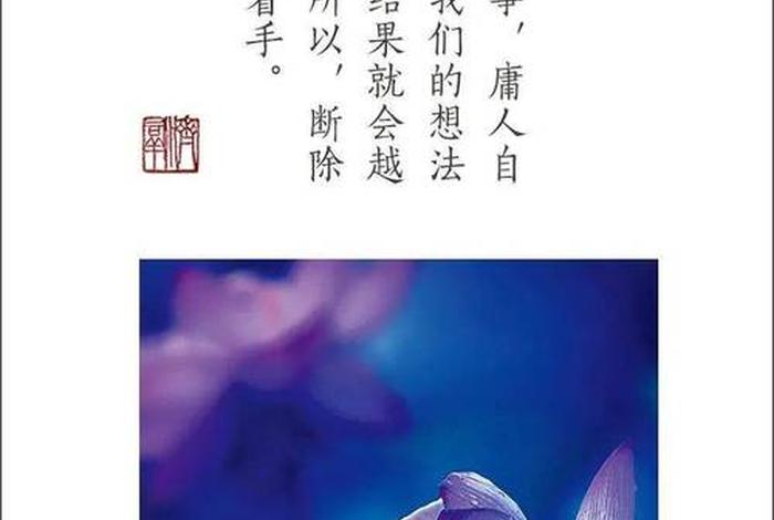 每日佛语关于佛教知识文案图片，佛学文案