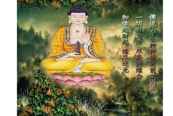 佛教是属于国学文化吗（佛教属于国学吗？）