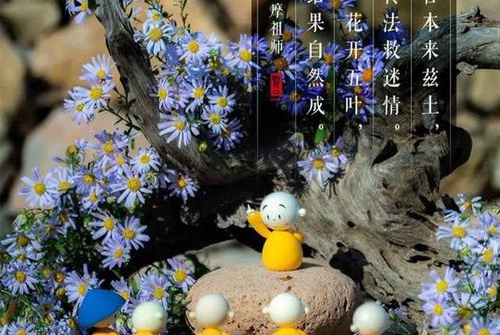 达摩祖师一花开五叶 达摩祖师一花开五叶结果自然成是什么意思