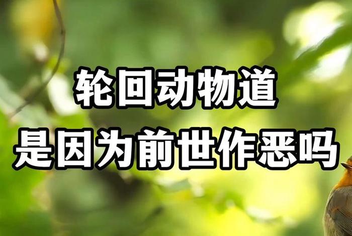 动物真的有轮回吗、动物真的有轮回吗图片