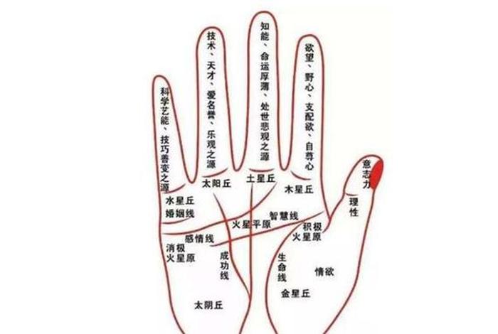 佛教算卦入门知识大全图片下载，佛教算命准不准