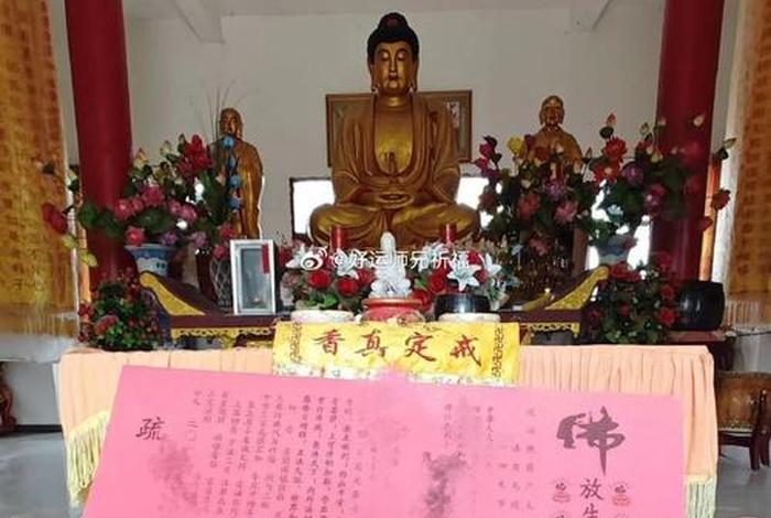 佛教放生祈福语录 - 佛教放生祈福语录图片