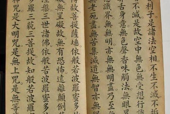 佛学第一本书（第一本佛经应该读什么）