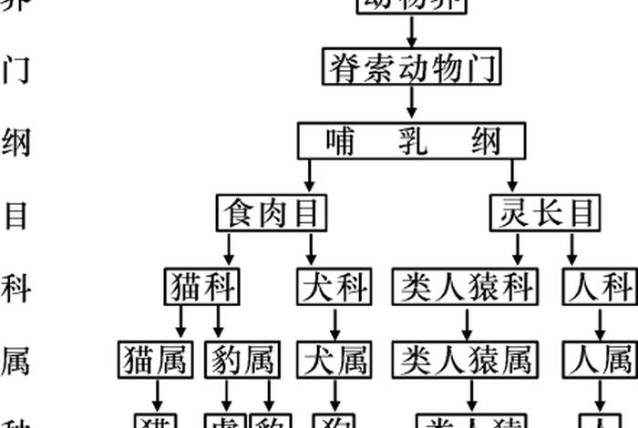 动物知识大全及解释、动物相关知识