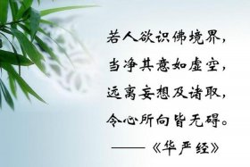 发菩提心的意思是什么，发菩提心,是什么意思,还要求生净土