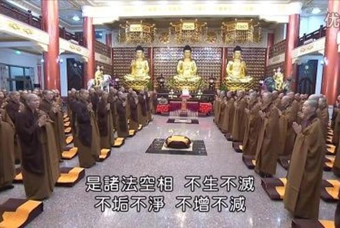 台湾佛教基础知识视频下载免费，台湾佛教基础知识视频下载免费版
