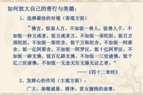 佛教文化学视频大全 佛教文化讲解