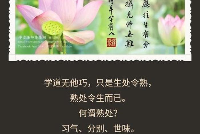 佛法经典法语 经典佛法语录