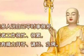 关于佛教知识小视频短片、佛教教育短片