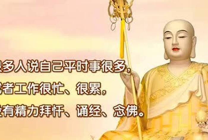 关于佛教知识小视频短片、佛教教育短片