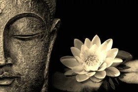佛法中的业 - 佛法中的业有多少种