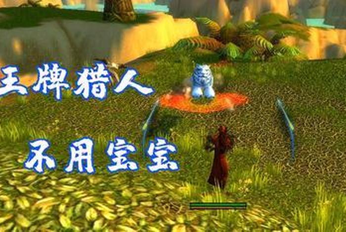 猎人pk法师视频，猎人pk法师视频教学