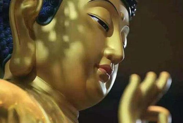 接触佛法的人都有福报吗（一个人接触佛了是什么预兆）
