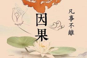 佛教所说的善 - 佛教所说的善根很深是什么
