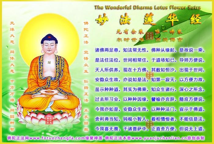 有趣的佛学常识大全图片；有趣的佛学常识大全图片视频