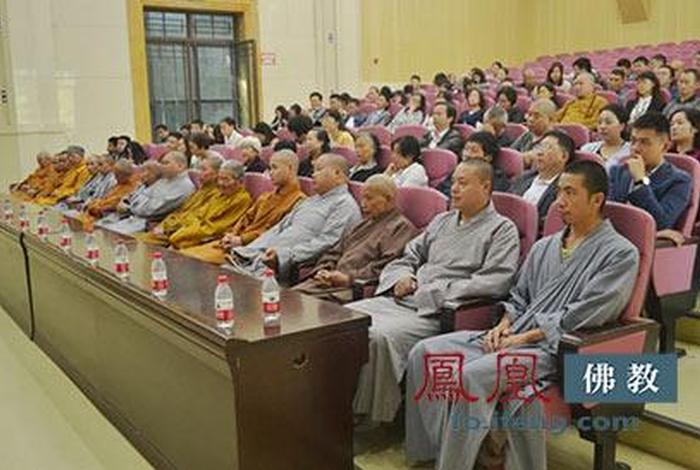 佛教知识入门视频大全、佛教基础知识讲座视频