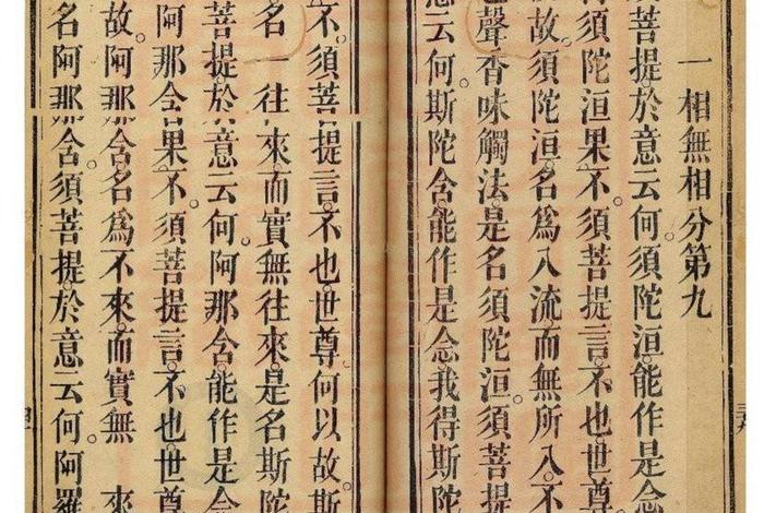 道教专业书籍（道教专业书籍排名）
