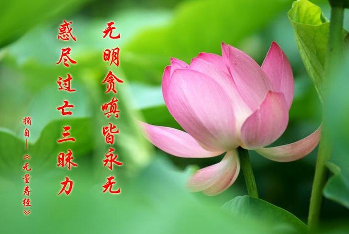 念佛三昧的16种境界、念佛三昧的16种境界是什么？
