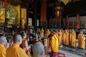 佛教参访视频（佛教参访视频播放）