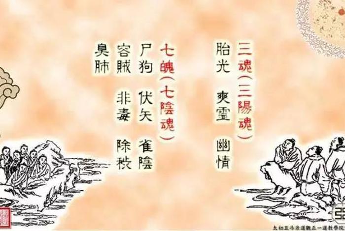 三尸分别是（准提的三尸分别是）