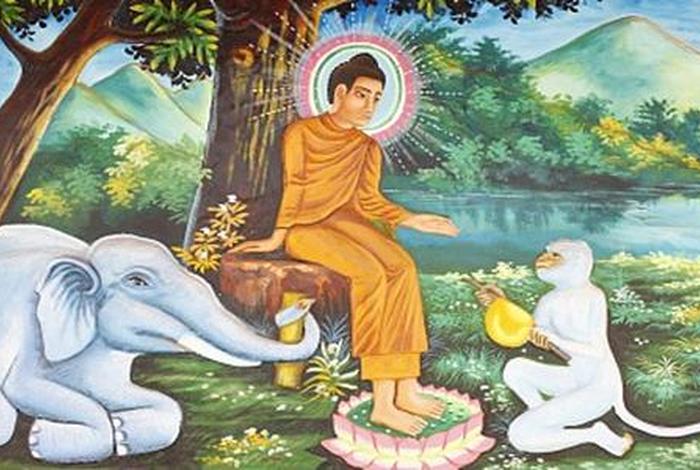 动物在佛教中的意义、佛教中的动物寓意