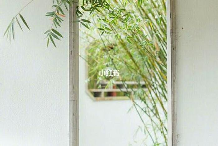 佛教中的探窗百科知识是什么；佛教中的探窗百科知识是什么意思